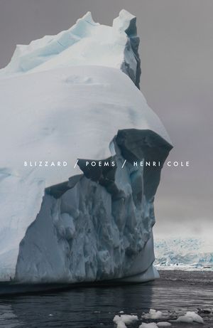 Blizzard: Poems image number 0