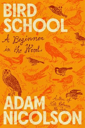 Bird School: A Beginner in the Wood image number 0