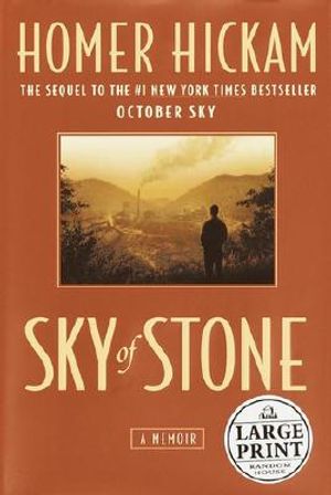 Sky of Stone: A Memoir image number 0