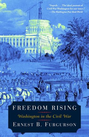 Freedom Rising: Washington in the Civil War image number 0