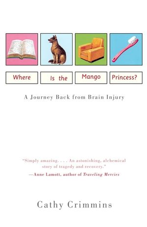 Where Is the Mango Princess?: A Journey Back from Brain Injury image number 0