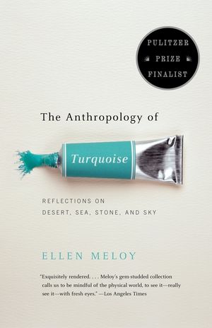 The Anthropology of Turquoise: Reflections on Desert, Sea, Stone, and Sky image number 0