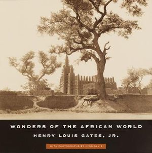Wonders of the African World image number 0