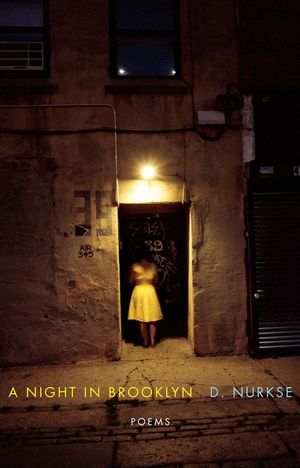 A Night in Brooklyn: Poems image number 0