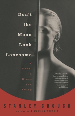 Don't the Moon Look Lonesome: A Novel in Blues and Swing image number 0