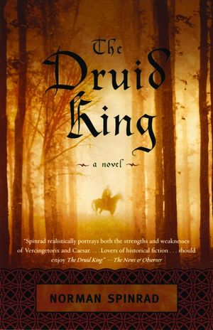 The Druid King image number 0