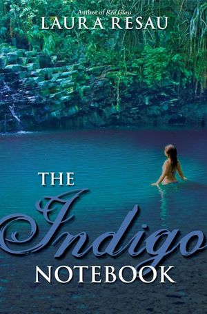 The Indigo Notebook image number 0
