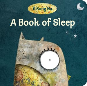 A Book of Sleep image number 0