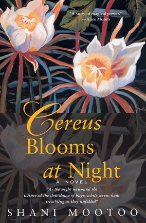 Cereus Blooms at Night image number 0