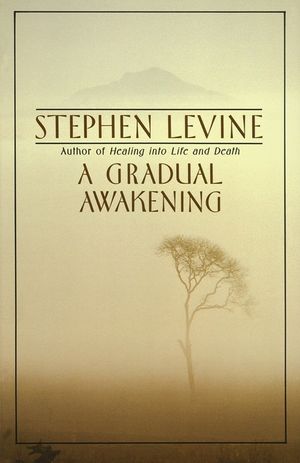 A Gradual Awakening image number 0