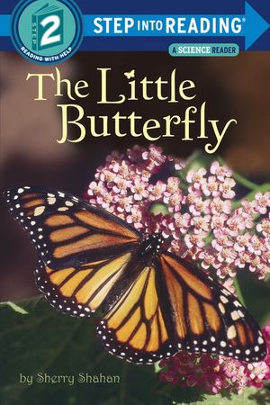 The Little Butterfly image number 0