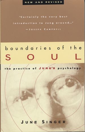 Boundaries of the Soul: The Practice of Jung's Psychology image number 0