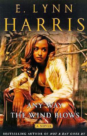 Any Way the Wind Blows image number 0