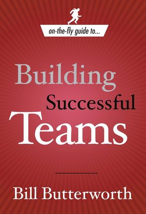 On-The-Fly Guide to Building Successful Teams image number 0