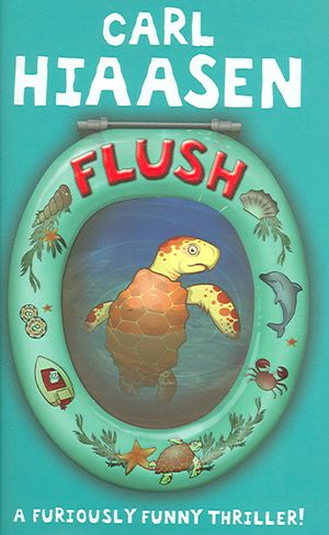 Flush image number 0