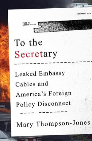 To the Secretary: Leaked Embassy Cables and America's Foreign Policy Disconnect image number 0