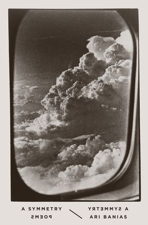 A Symmetry: Poems image number 0