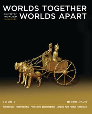 Worlds Together, Worlds Apart: A History of the World: Beginnings to 1200 image number 0
