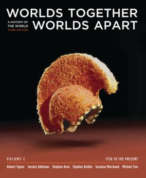 Worlds Together, Worlds Apart, Volume C: A History of the World: 1750 to the Present image number 0