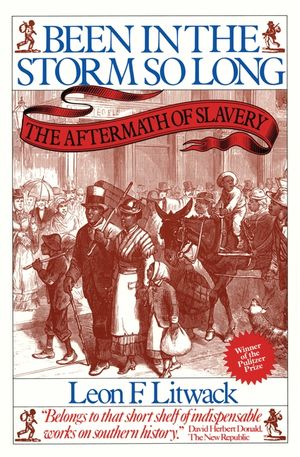 Been in the Storm So Long: The Aftermath of Slavery image number 0