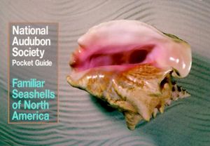National Audubon Society Pocket Guide to Familiar Seashells image number 0
