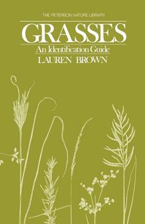 Brown Grasses Identification Guide image number 0