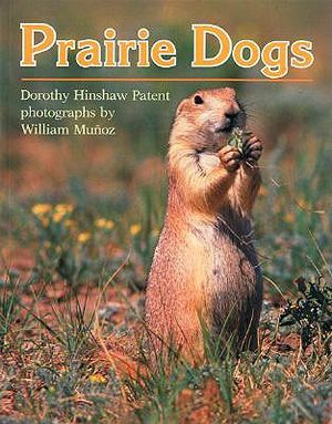 Prairie Dogs image number 0