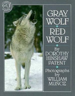 Gray Wolf, Red Wolf image number 0