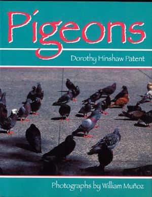 Pigeons image number 0