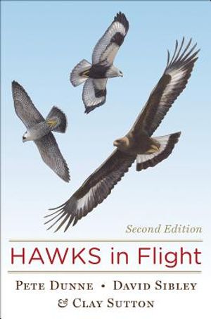 Hawks in Flight image number 0