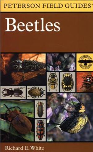 A Field Guide to the Beetles: Of North America image number 0