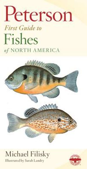 Peterson First Guide to Fishes of North America image number 0