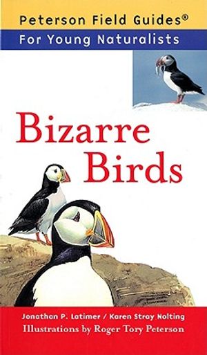 Bizarre Birds image number 0
