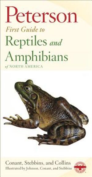 Reptiles and Amphibians image number 0