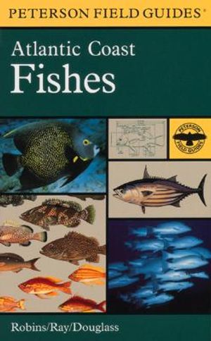 A Field Guide to Atlantic Coast Fishes: North America image number 0