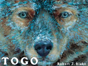 Togo image number 0
