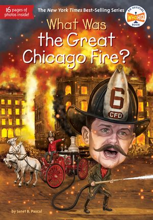 What Was the Great Chicago Fire? image number 0