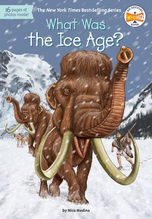 What Was the Ice Age? image number 0