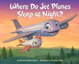 Where Do Jet Planes Sleep at Night? image number 0
