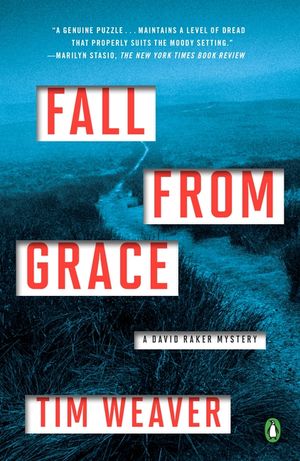 Fall from Grace: A David Raker Mystery image number 0