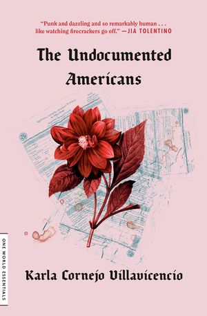 The Undocumented Americans image number 0