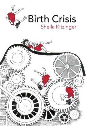 Birth Crisis image number 0