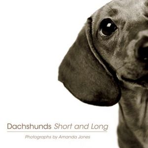 Dachshunds Short and Long image number 0