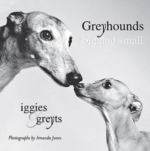 Greyhounds Big and Small: Iggies and Greyts image number 0
