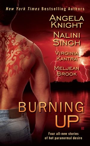 Burning Up image number 0