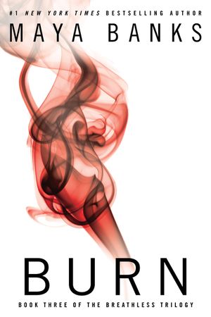 Burn image number 0