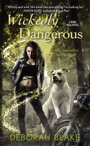 Wickedly Dangerous image number 0