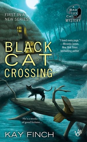 Black Cat Crossing image number 0