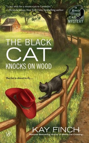 The Black Cat Knocks on Wood image number 0