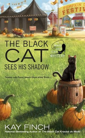 The Black Cat Sees His Shadow image number 0